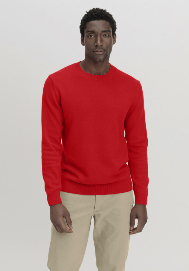 hessnatur Herren Pullover Basic aus Bio-Baumwolle - rot - Größe 50