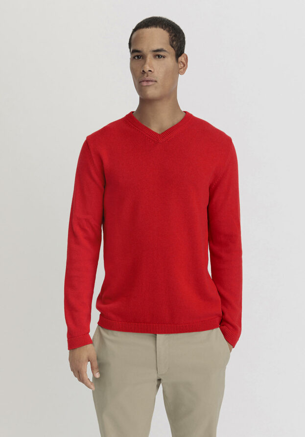hessnatur Herren V-Pullover Regular aus Bio-Baumwolle mit Bio-Merinowolle - rot - Größe 46