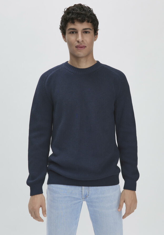 hessnatur Herren Pullover Regular aus Bio-Baumwolle - blau - Größe 46