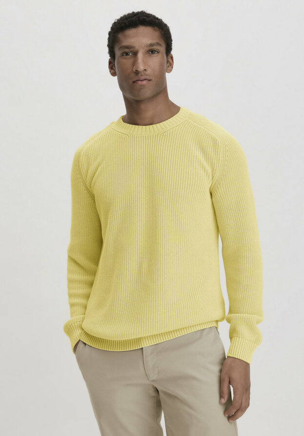 hessnatur Herren Pullover Regular aus Bio-Baumwolle - gelb - Größe 52