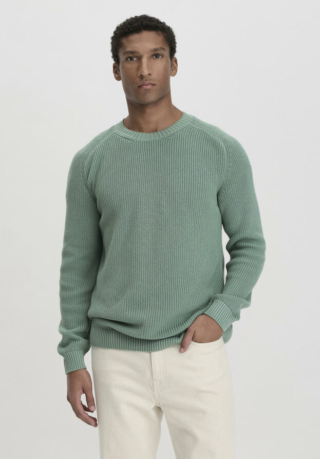 hessnatur Herren Pullover Regular aus Bio-Baumwolle - grün - Größe 46