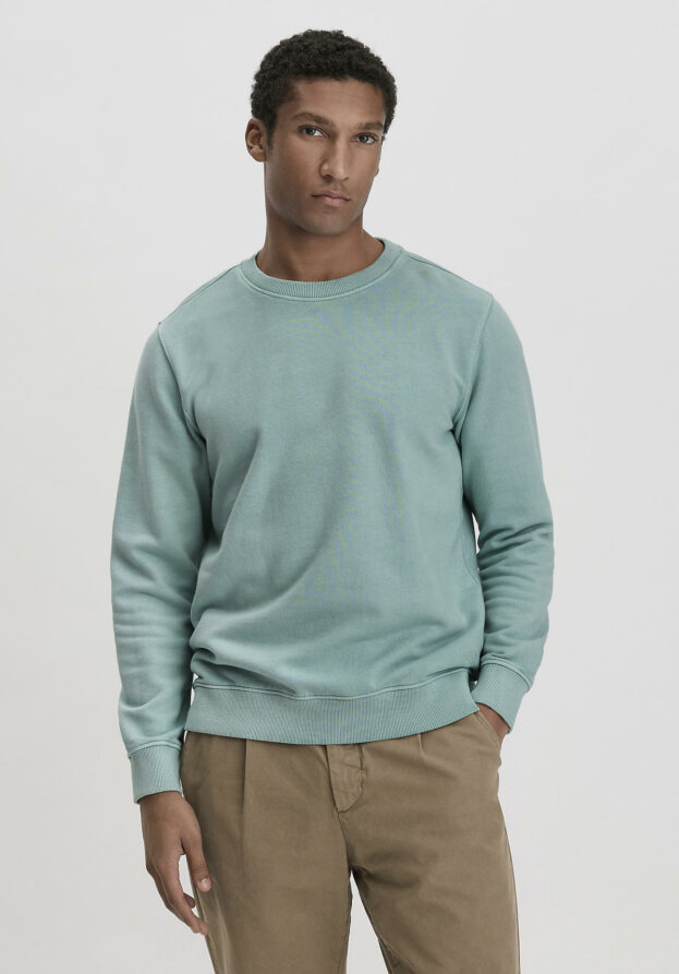 hessnatur Herren Sweatshirt Regular aus Bio-Baumwolle - grün - Größe 48