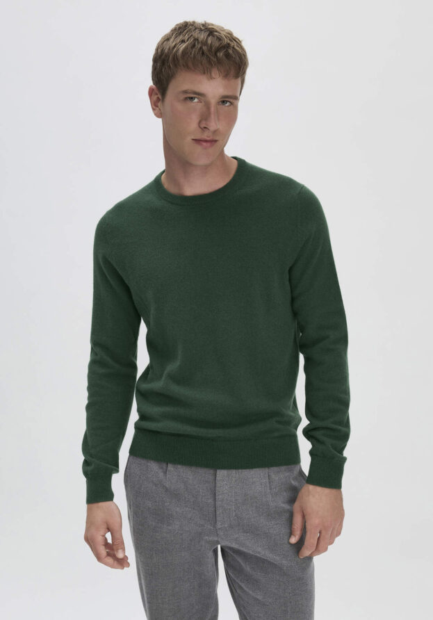 hessnatur Herren FTC × HESSNATUR Pullover Regular aus Kaschmir - grün - Größe 52