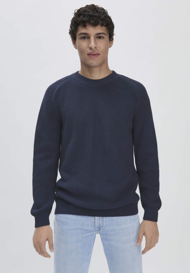 hessnatur Herren Pullover Regular aus Bio-Baumwolle - blau - Größe 54