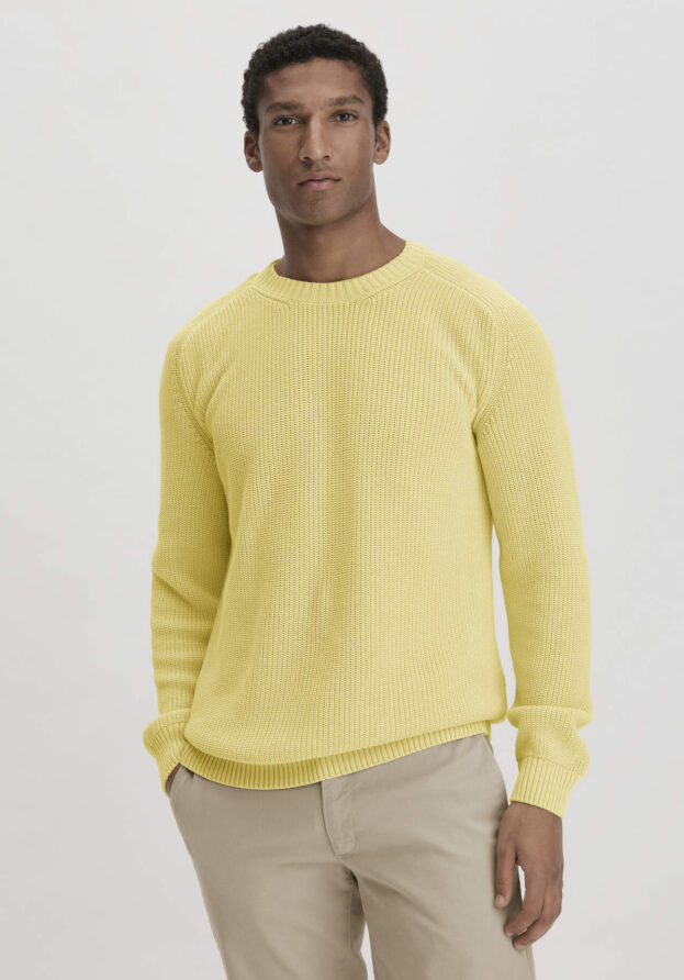 hessnatur Herren Pullover Regular aus Bio-Baumwolle - gelb - Größe 46