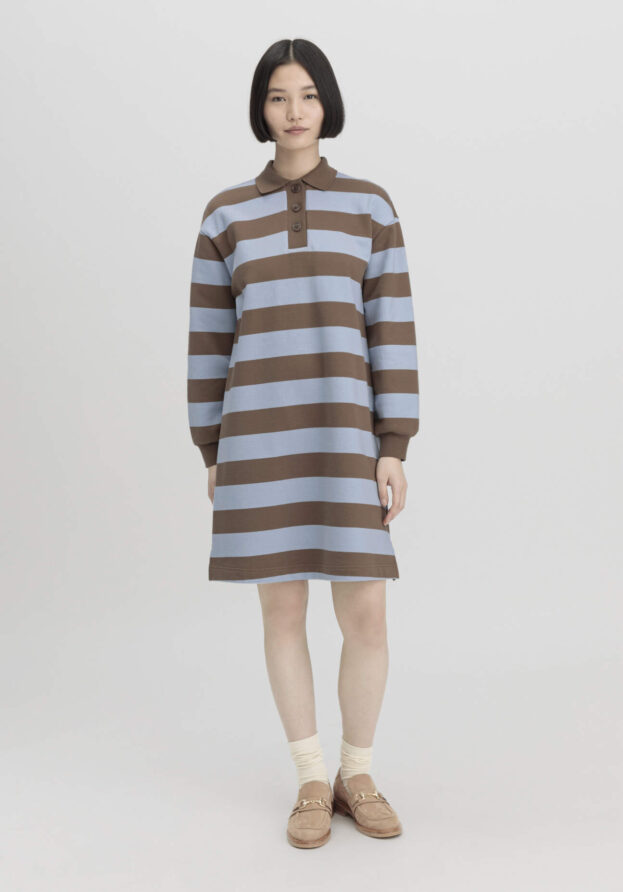hessnatur Damen Sweat Kleid Streifen Relaxed aus Bio-Baumwolle - braun - Größe XS