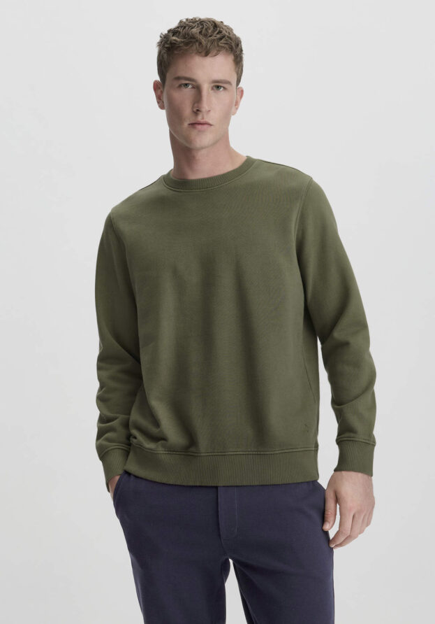 hessnatur Herren Sweatshirt Regular aus Bio-Baumwolle - grün - Größe 46