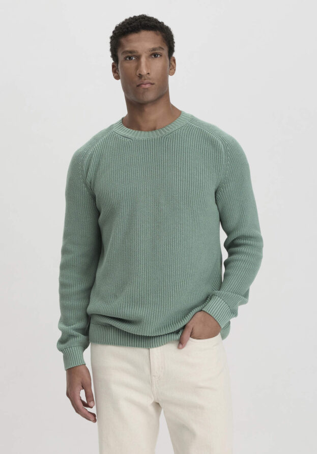 hessnatur Herren Pullover Regular aus Bio-Baumwolle - grün - Größe 54